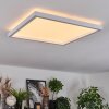 Xarel Plafoniera, Panel LED Bianco, 1-Luce