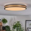 Kirtland Plafoniera LED Oro, Nero, 1-Luce