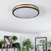 Kirtland Plafoniera LED Oro, Nero, 1-Luce