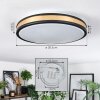 Kirtland Plafoniera LED Oro, Nero, 1-Luce