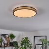 Kirtland Plafoniera LED Oro, Nero, 1-Luce