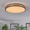 Kirtland Plafoniera LED Oro, Nero, 1-Luce