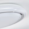 Anela Plafoniera LED Bianco, 1-Luce