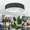 Benesal Plafoniera, Lampada con ventilatore LED Bianco, 1-Luce, Telecomando