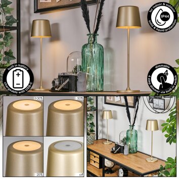 Belece Lampada da tavolo per esterno, Lampada da tavolo LED Oro, Bianco, 1-Luce