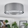 Carel Plafoniera, Faretto da soffitto LED Bianco, 1-Luce