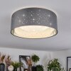 Carel Plafoniera, Faretto da soffitto LED Bianco, 1-Luce