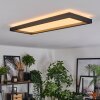 Binor Plafoniera LED Bianco, 1-Luce