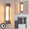 Biran Lampada da parete per esterno, Applique LED Antracite, 1-Luce