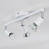 Gjedso Plafoniera, Faretto da soffitto LED Cromo, Bianco, 3-Luci