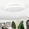 Borel Plafoniera LED Bianco, 1-Luce