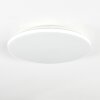 Borel Plafoniera LED Bianco, 1-Luce