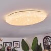 Arzel Plafoniera LED Bianco, 1-Luce, Telecomando