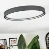 Filor Plafoniera LED Nero, 1-Luce