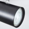 Gesteira Plafoniera, Faretto da soffitto Cromo, Nero, 2-Luci