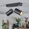 Gesteira Plafoniera, Faretto da soffitto Cromo, Nero, 2-Luci