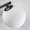 Gastor Plafoniera, Lampada a sfera Bianco, 3-Luci