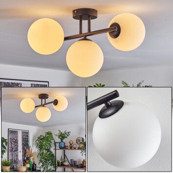 Gastor Plafoniera, Lampada a sfera Bianco, 3-Luci