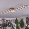 Brina Plafoniera LED Marrone, Oro, 1-Luce, Telecomando