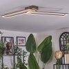 Brina Plafoniera LED Marrone, Oro, 1-Luce, Telecomando