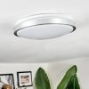 Sapioris Plafoniera LED Nichel opaco, Bianco, 1-Luce