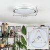 Sapioris Plafoniera LED Nichel opaco, Bianco, 1-Luce