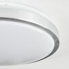 Sapioris Plafoniera LED Nichel opaco, Bianco, 1-Luce