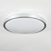 Sapioris Plafoniera LED Nichel opaco, Bianco, 1-Luce