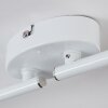 Gjedso Plafoniera, Faretto da soffitto LED Cromo, Bianco, 4-Luci