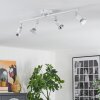 Gjedso Plafoniera, Faretto da soffitto LED Cromo, Bianco, 4-Luci