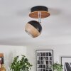 Haldor Plafoniera, Faretto da soffitto Marrone, Cromo, Nero, 1-Luce