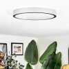 Kelan Plafoniera LED Argento, 1-Luce