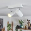 Gesteira Plafoniera, Faretto da soffitto Bianco, 2-Luci