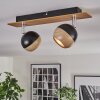 Haldor Plafoniera, Faretto da soffitto Marrone, Cromo, Nero, 2-Luci