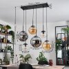 Gastor Lampadario a sospensione, Lampada a sfera, Lampada a sospensione Ambrato, Chiaro, Grigio fumo, 6-Luci