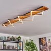 Pompu Plafoniera LED Marrone scuro, Nero, 1-Luce