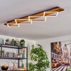 Pompu Plafoniera LED Marrone scuro, Nero, 1-Luce