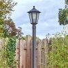 Loria Lampione multibraccia, Illuminazione viale Nero, 1-Luce