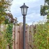 Loria Lampione multibraccia, Illuminazione viale Nero, 1-Luce