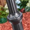 Loria Lampione multibraccia, Illuminazione viale Nero, 1-Luce