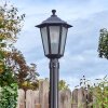 Loria Lampione multibraccia, Illuminazione viale Nero, 1-Luce