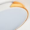 Cadaixo Plafoniera, Panel LED Bianco, 1-Luce
