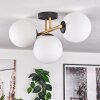 Gastor Plafoniera, Lampada a sfera 42 cm Oro, Nero, 3-Luci