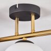 Gastor Plafoniera, Lampada a sfera 42 cm Oro, Nero, 3-Luci