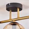 Gastor Plafoniera, Lampada a sfera 42 cm Oro, Nero, 3-Luci