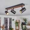 Gesteira Plafoniera, Faretto da soffitto Legno scuro, Nero, 3-Luci