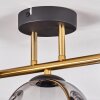 Gastor Plafoniera, Lampada a sfera 42 cm Oro, Nero, 3-Luci