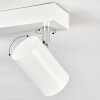 Gesteira Plafoniera, Faretto da soffitto Cromo, Bianco, 4-Luci