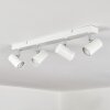 Gesteira Plafoniera, Faretto da soffitto Cromo, Bianco, 4-Luci