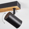 Gesteira Plafoniera, Faretto da soffitto Legno scuro, Nero, 4-Luci